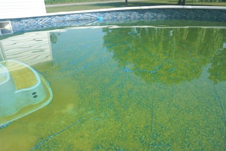Algae Prevention1